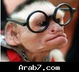 professeur